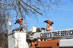 Casey's Tree Service Mountain View, Missouri