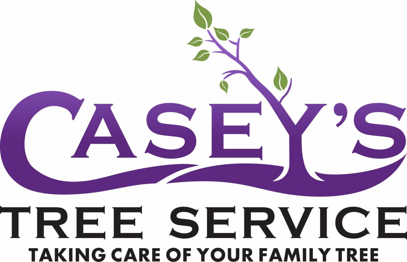 Logo for Casey's Tree Service featuring a stylized purple tree and the slogan Taking care of your family tree beneath the company name.